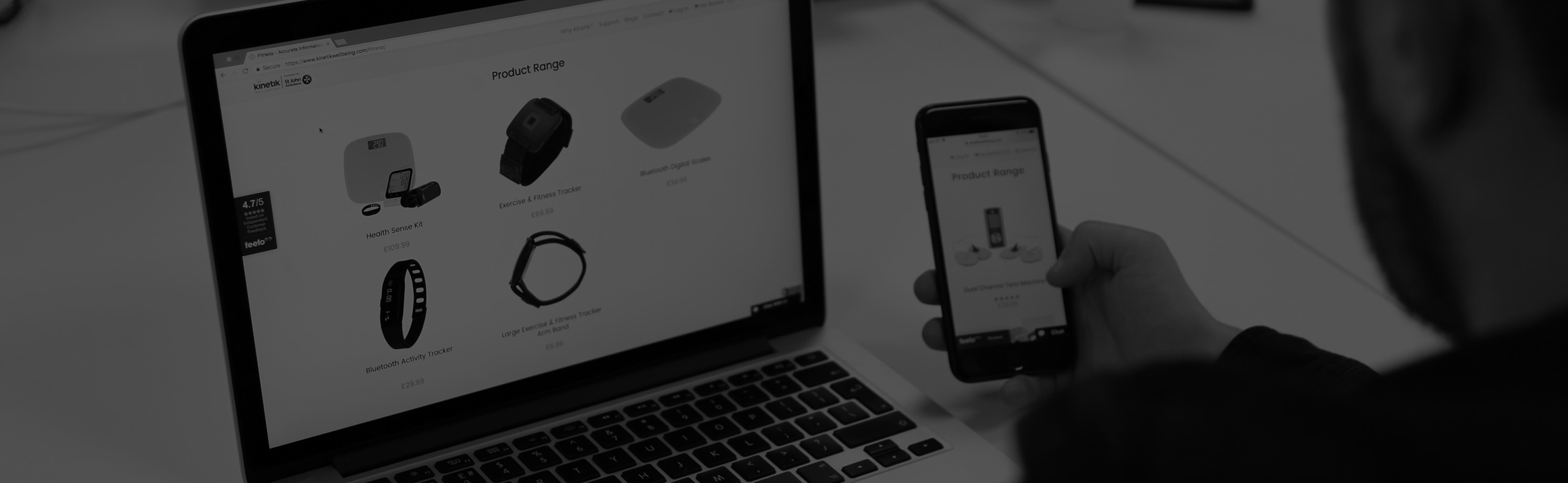 E-commerce website development.