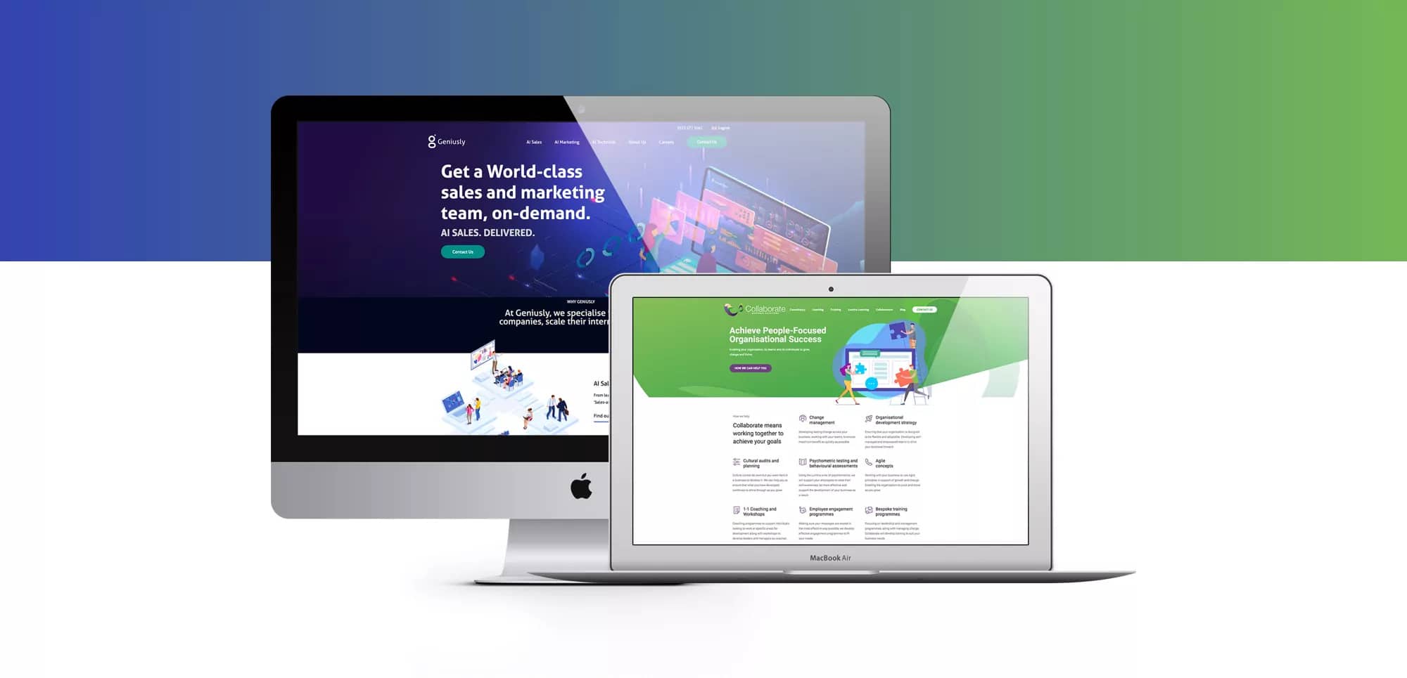 web design consultant